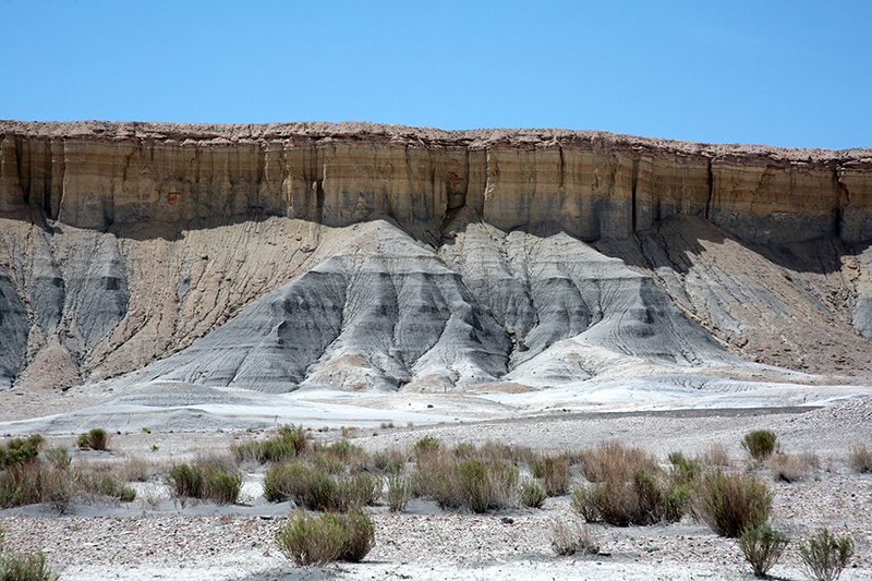 Bison : Antelope Island : Utah : Landscape Photos : Richard Moore : Photographer